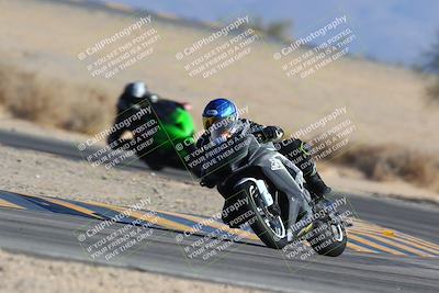 media/Jan-14-2024-SoCal Trackdays (Sun) [[2e55ec21a6]]/Turn 4 Tree of Life (155pm)/